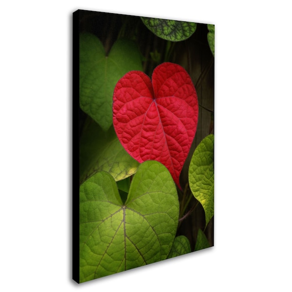 Philippe Sainte-Laudy 'Heart To Take' Canvas Art,16x24